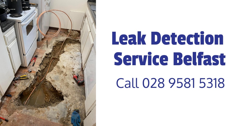 Leak Detection Service Belfast
