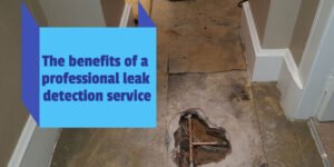 The benefits of a professional leak detection service