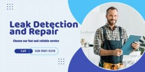 Leak Detection and Repair - Northern Ireland