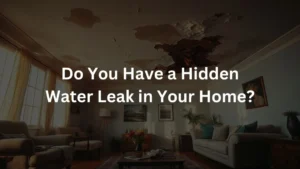 Do You Have a Hidden Water Leak in Your Home?