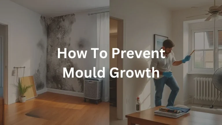 How To Prevent Mould Growth