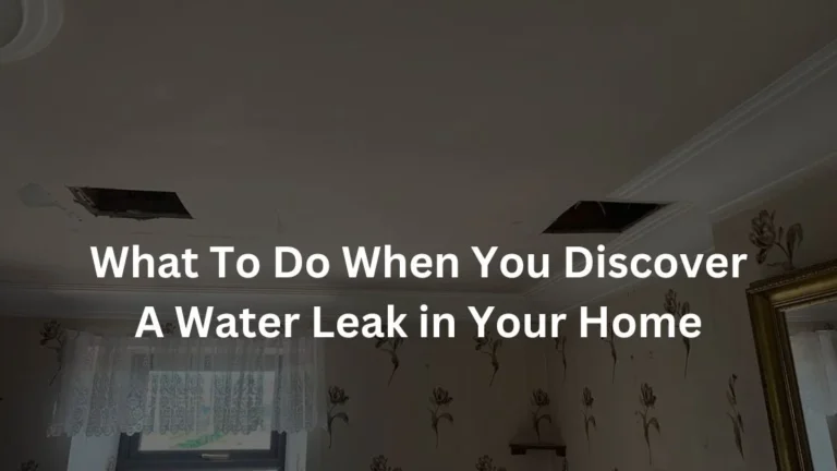 What To Do When You Discover A Water Leak in Your Home