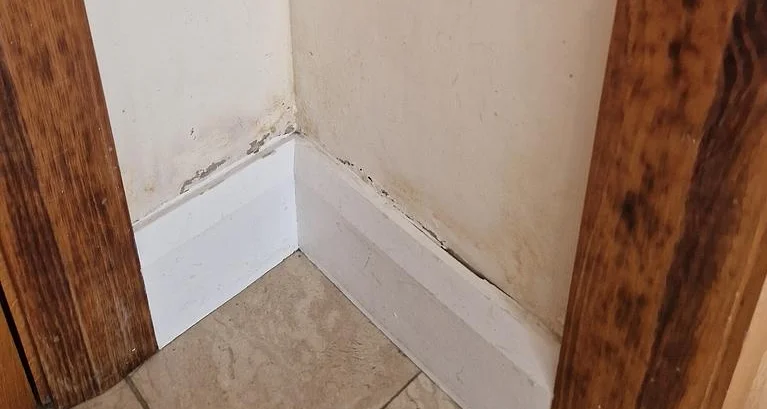 Mould and peeling paint can be a sign you have a water leak