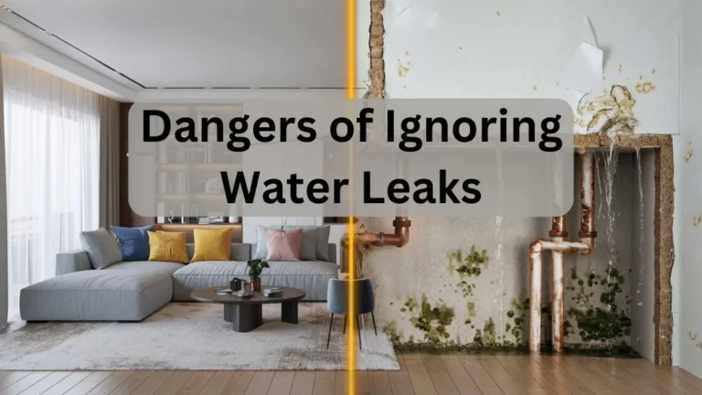 Dangers of Ignoring Water Leaks