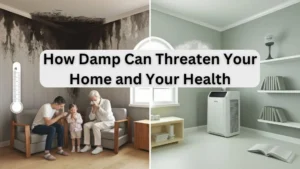 How Damp Can Threaten Your Home and Your Health