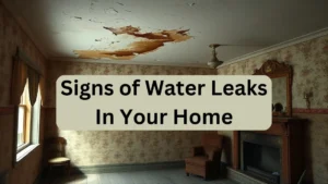 Signs of Water Leaks In Your Home