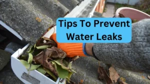 Tips To Prevent Water Leaks