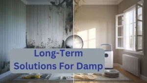 Long-Term Solutions For Damp