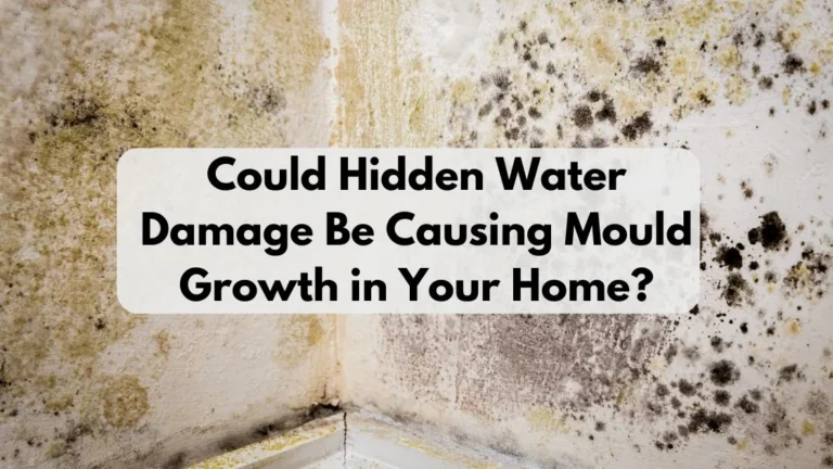 Could Hidden Water Damage Be Causing Mould Growth in Your Home?