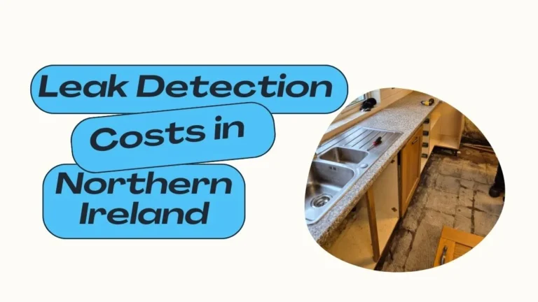 Leak Detection Costs in Northern Ireland