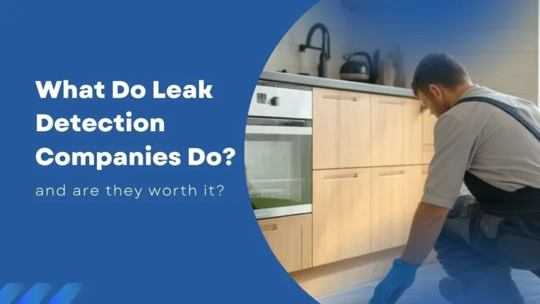 What Do Leak Detection Companies Do? and are they worth it?