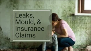 Leaks, Mould, & Insurance Claims