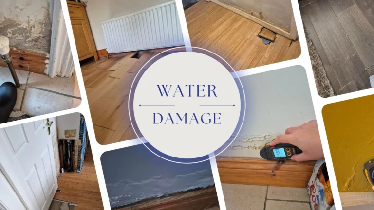 Dining Room water damage insurance claim