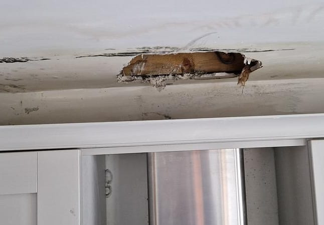 PCLA Leak Detection Service Downpatrick